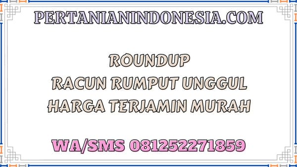 Roundup Racun Rumput Unggul Harga Terjamin Murah